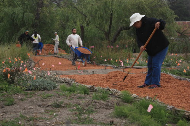 restoration at pinnacles