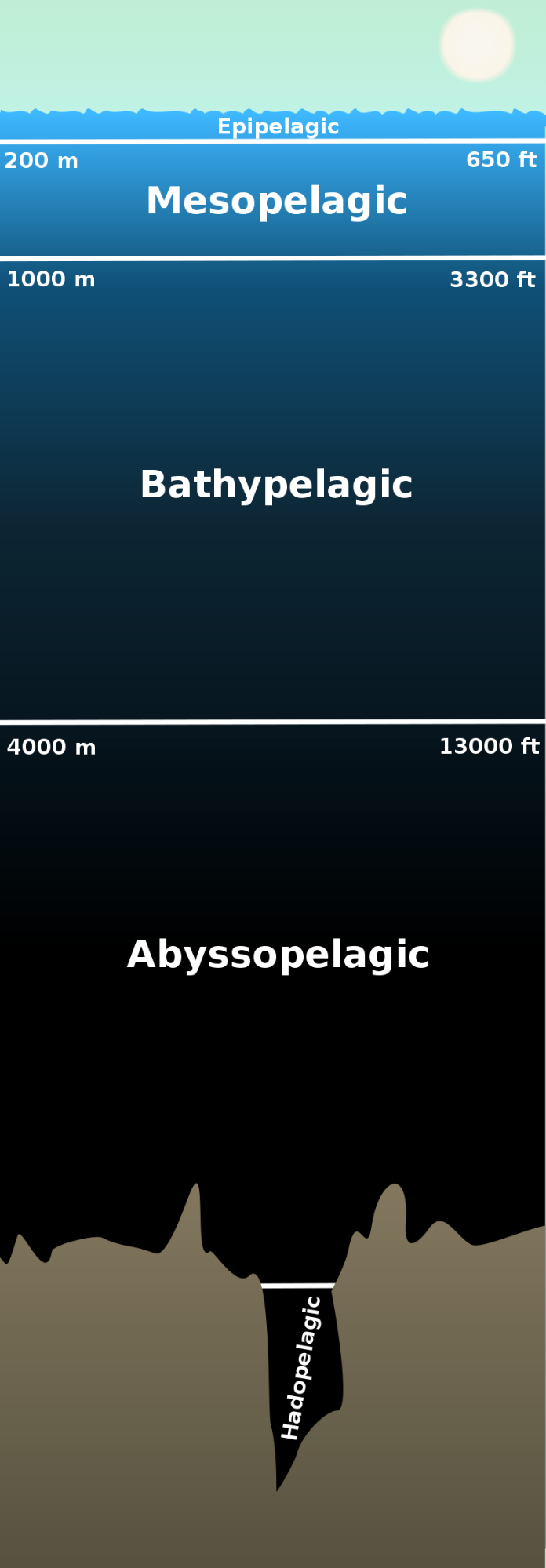 ocean depth diagram