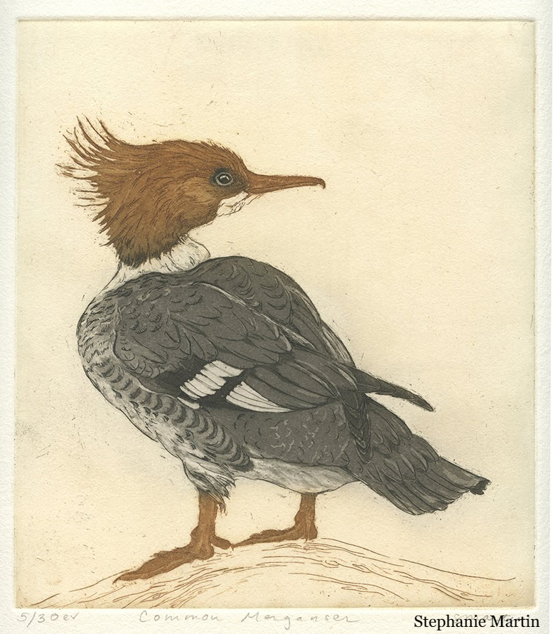 merganser