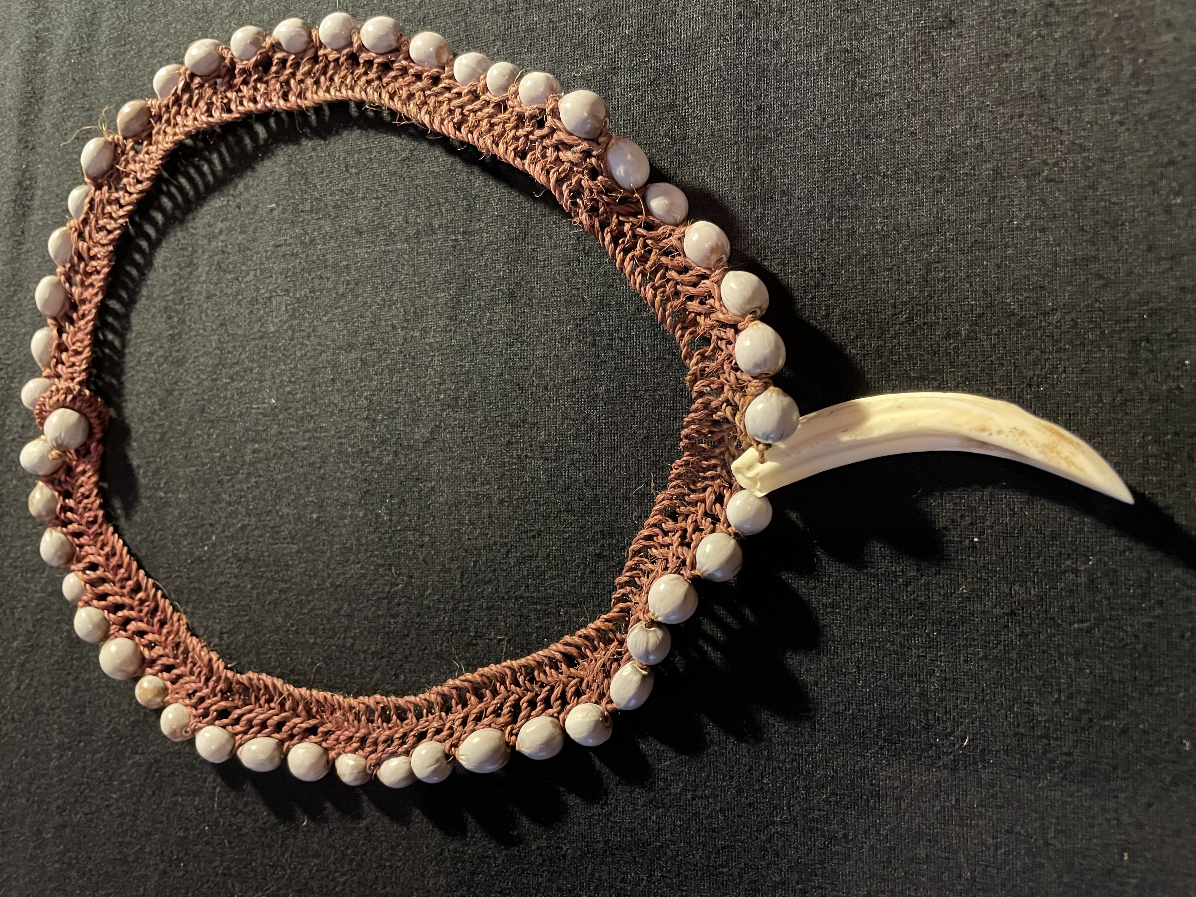 1Pcs Tribal Style Large Wild Boar Tooth Tusk Charm Neckalce Bracelets  Jewelry Gifts Amulet Pendant Necklace