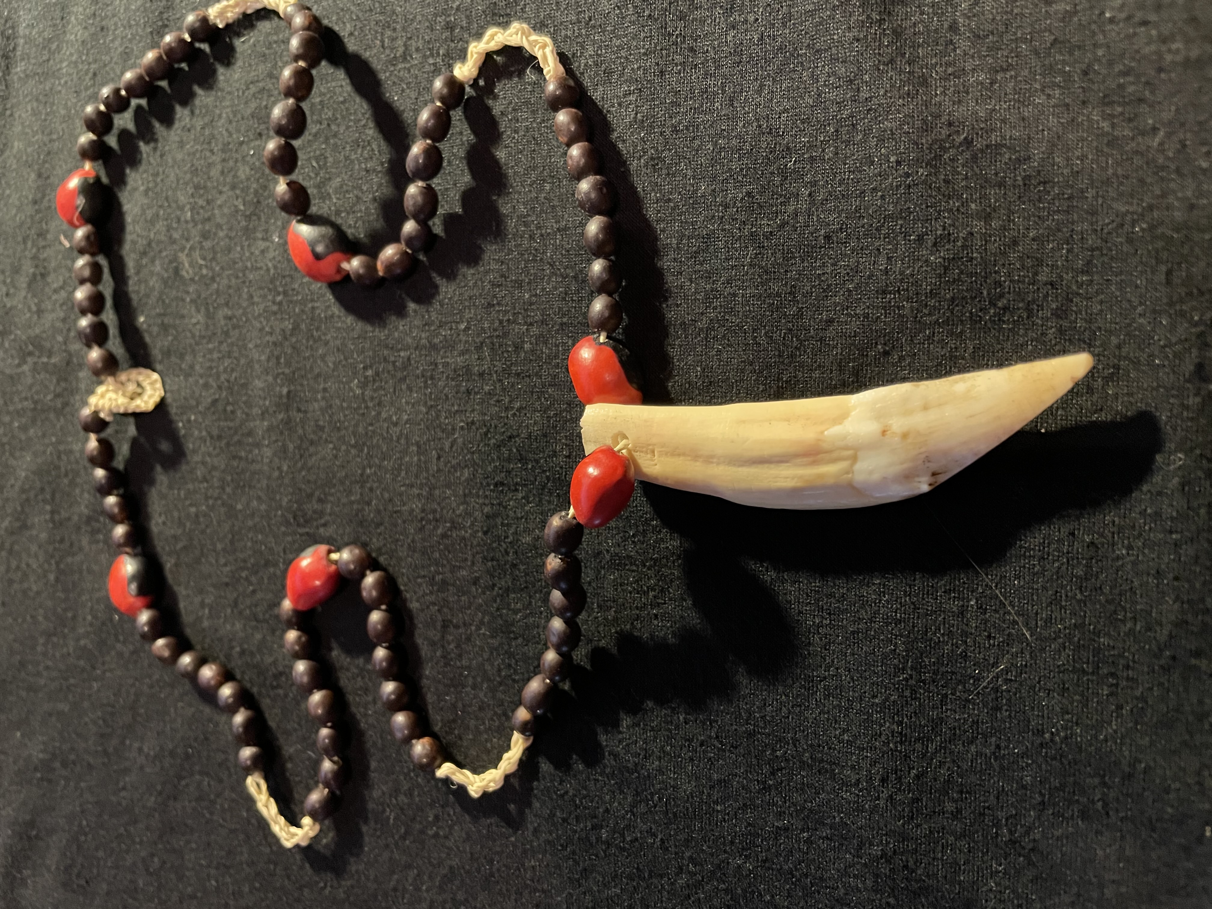 Necklace with Beads in the Shape of Jaguar Teeth | Mixtec (Ñudzavui) | The  Metropolitan Museum of Art