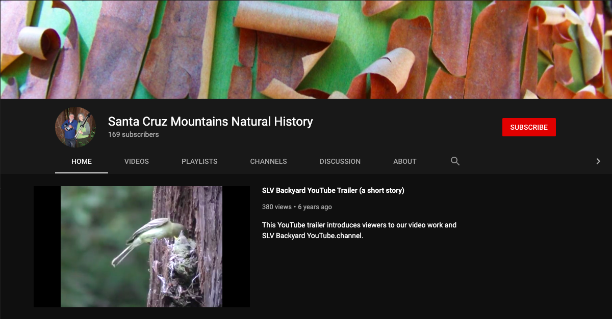 screenshot of the youtube channel