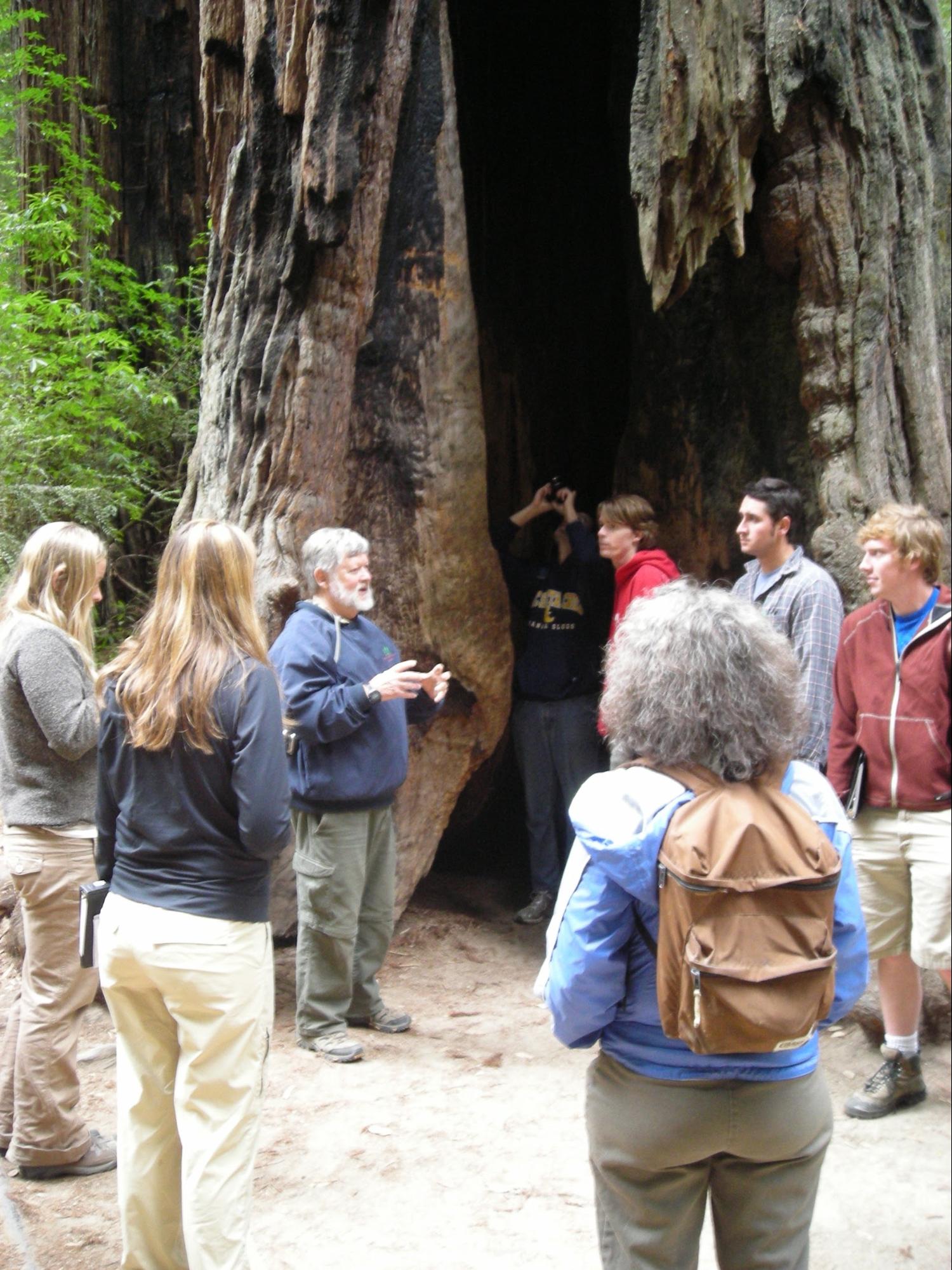 people by a big tree