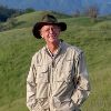 grey hayes on a grassy hillside