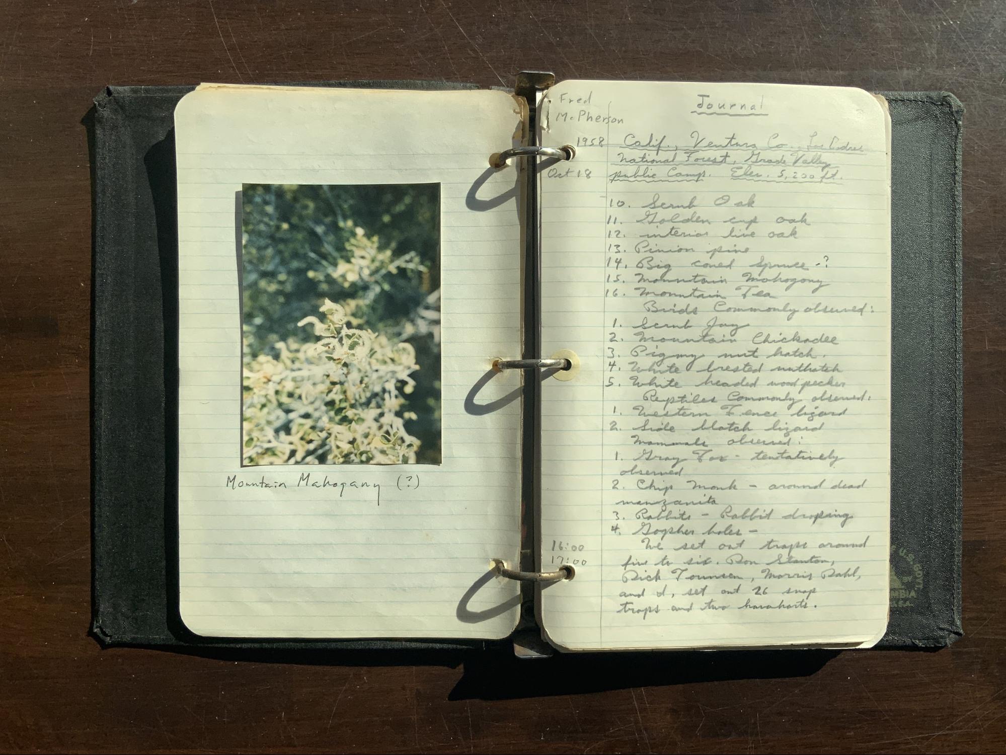 a field journal