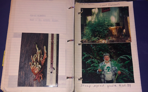 field journal pages