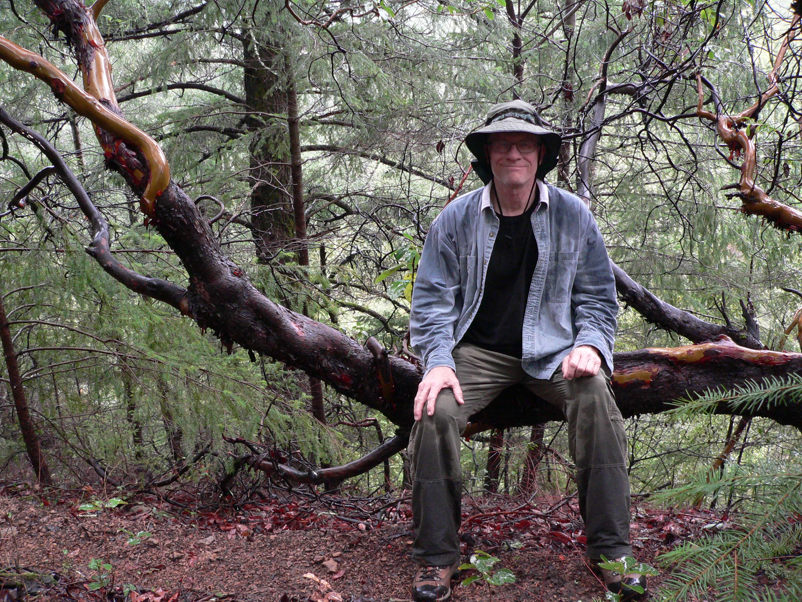 al sitting on a madrone