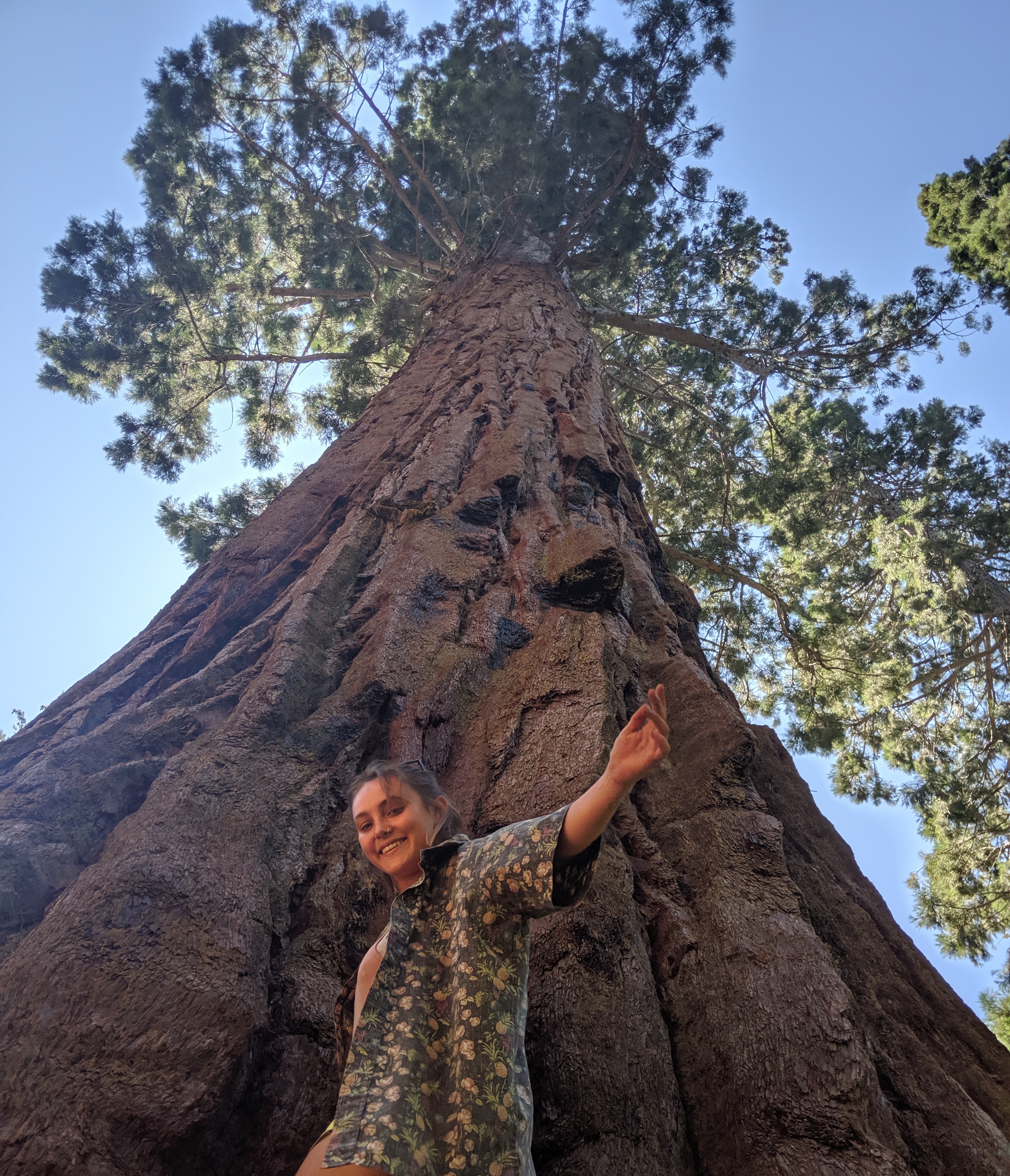 anka lehr in front of redwood