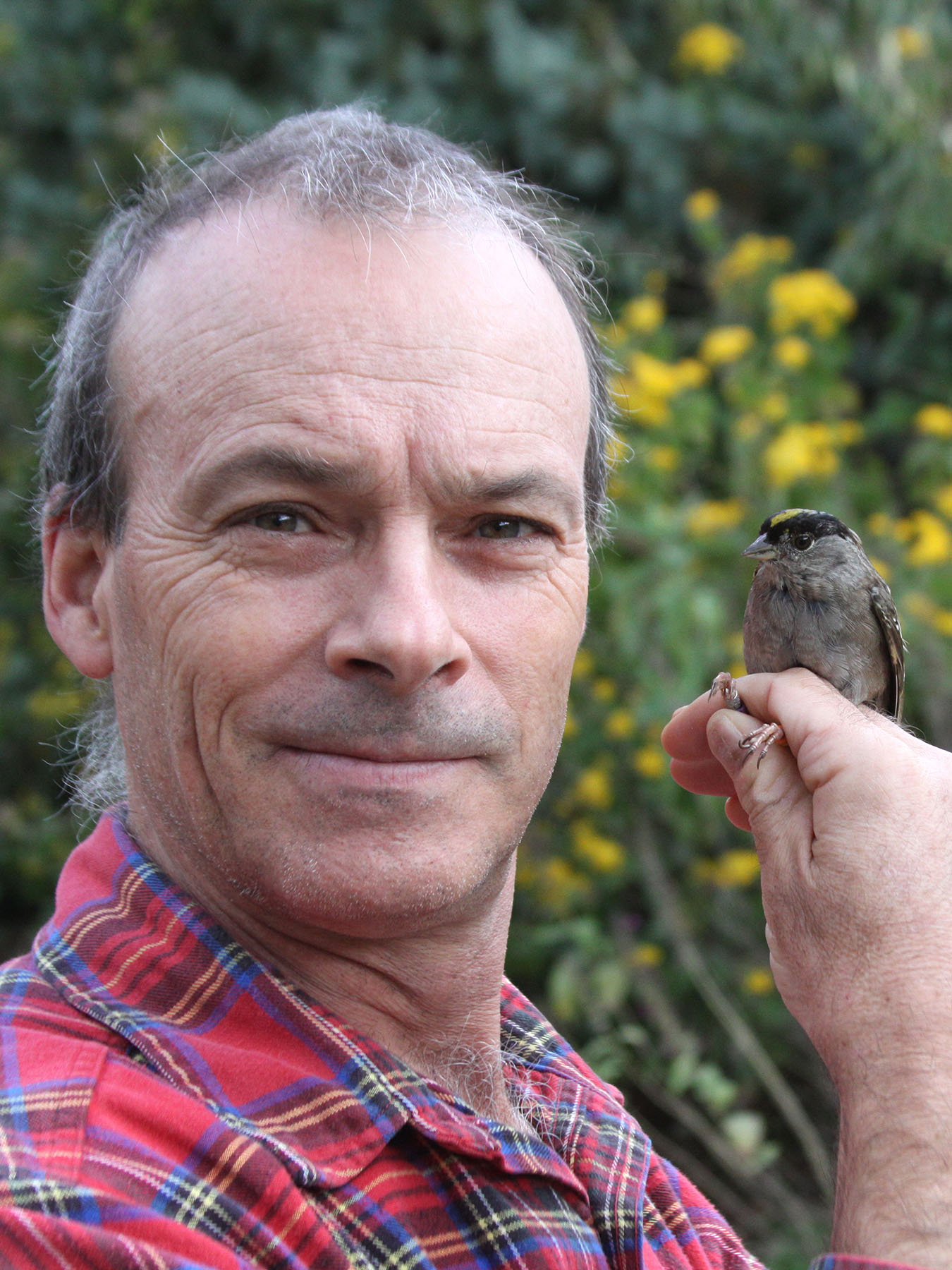 bruce lyon holding a golden crowned sparrow.