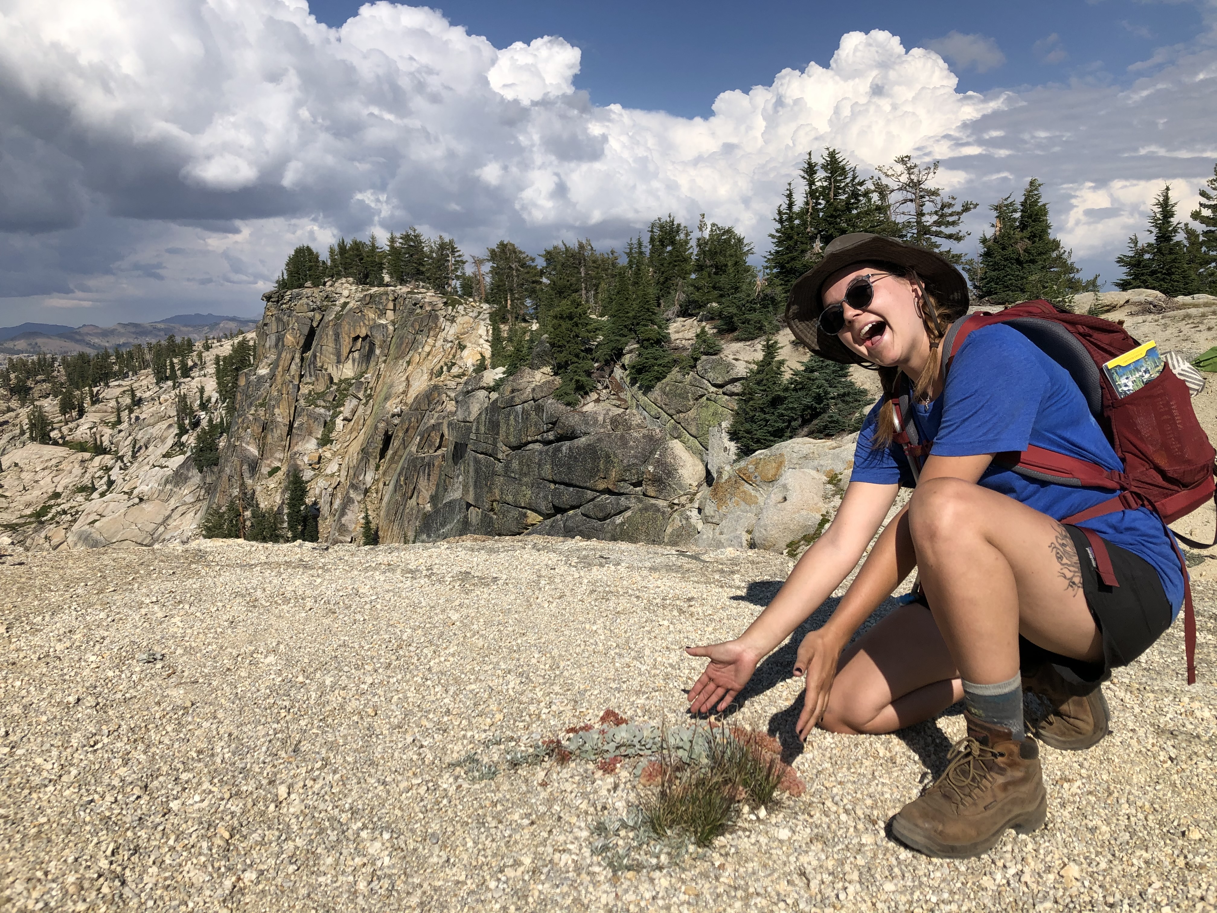 mahala looking a buckwheat in the mountains